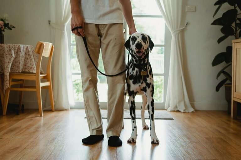 caller behavior assessment alerts 18008637500